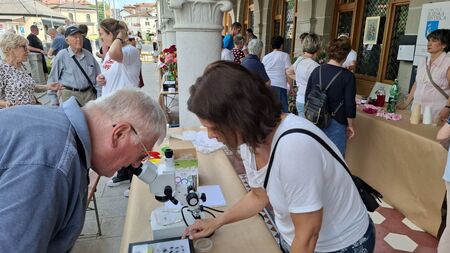 Skrivnosti cveta in čebele razkrite tudi odraslim